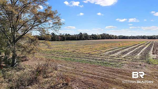 3.3 Acres of Residential Land for Sale in Elberta, Alabama