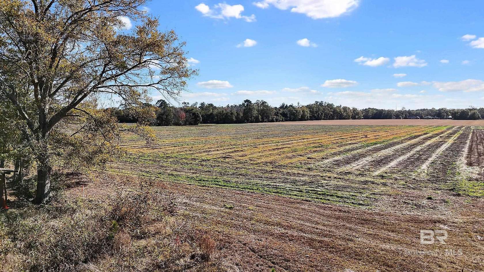 3.29 Acres of Residential Land for Sale in Elberta, Alabama