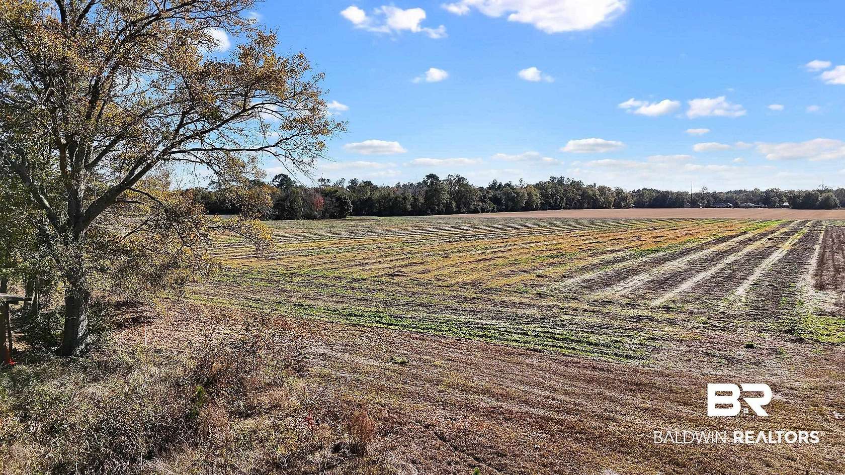 3.29 Acres of Residential Land for Sale in Elberta, Alabama