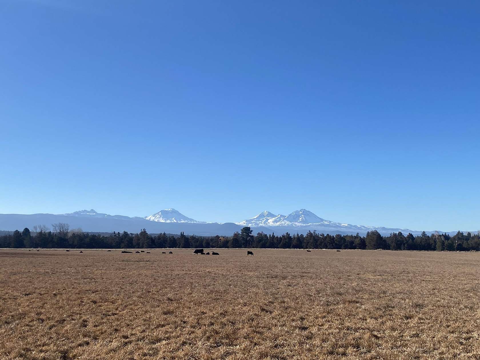 30 Acres of Land for Sale in Bend, Oregon