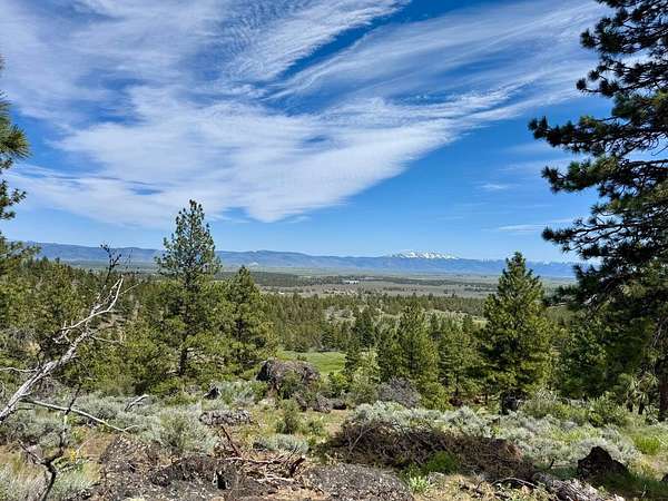 40 Acres of Recreational Land for Sale in Lakeview, Oregon