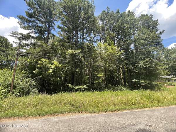 0.6 Acres of Residential Land for Sale in Meridian, Mississippi