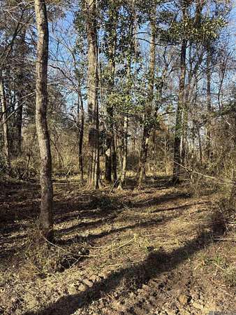 1.74 Acres of Residential Land for Sale in Denham Springs, Louisiana