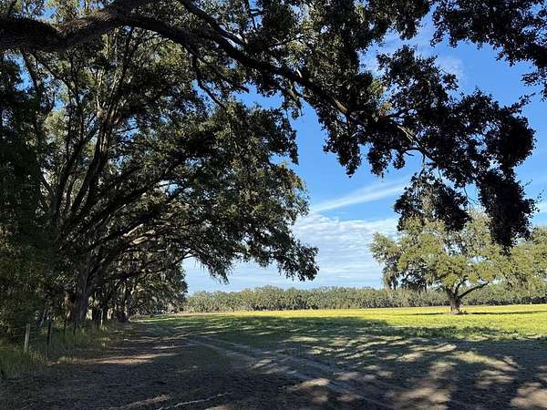 10 Acres of Recreational Land for Sale in Chiefland, Florida