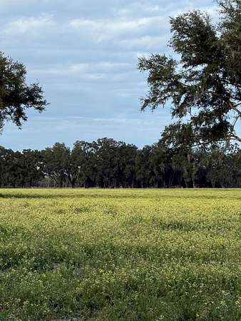 10 Acres of Residential Land for Sale in Chiefland, Florida