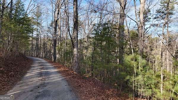 1.25 Acres of Residential Land for Sale in Sautee-Nacoochee, Georgia