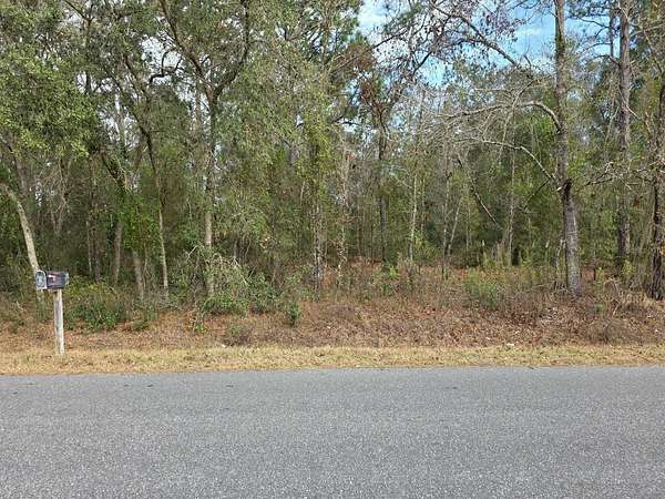 0.46 Acres of Residential Land for Sale in Ocala, Florida