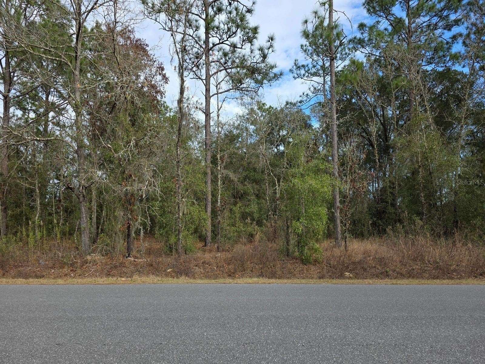 0.46 Acres of Residential Land for Sale in Ocala, Florida