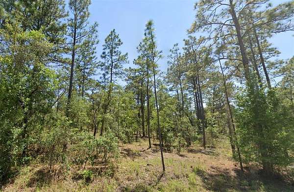0.26 Acres of Residential Land for Sale in Dunnellon, Florida
