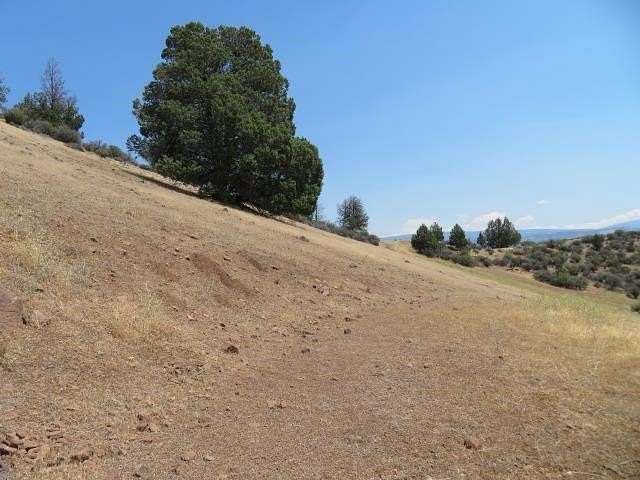 2.9 Acres of Land for Sale in Hornbrook, California