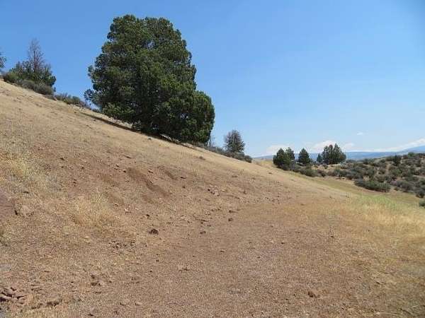 2.9 Acres of Land for Sale in Hornbrook, California