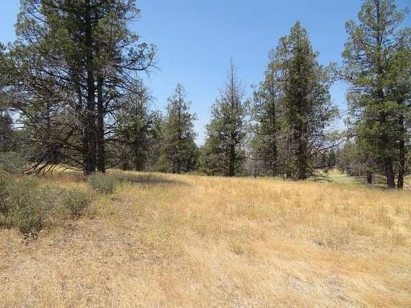 1 Acre of Residential Land for Sale in Hornbrook, California