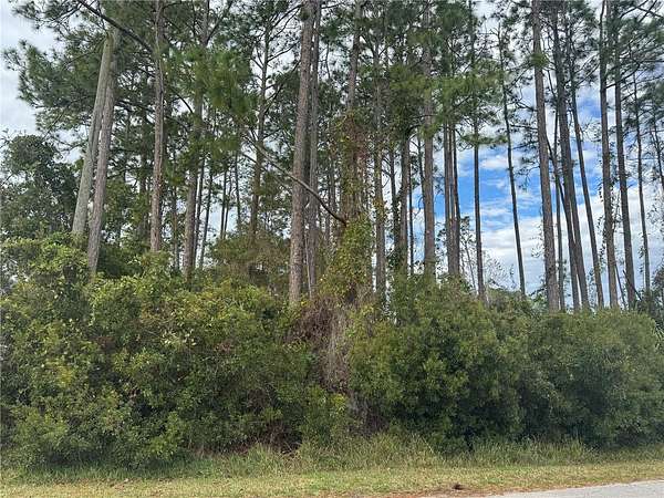 0.23 Acres of Residential Land for Sale in Palm Coast, Florida