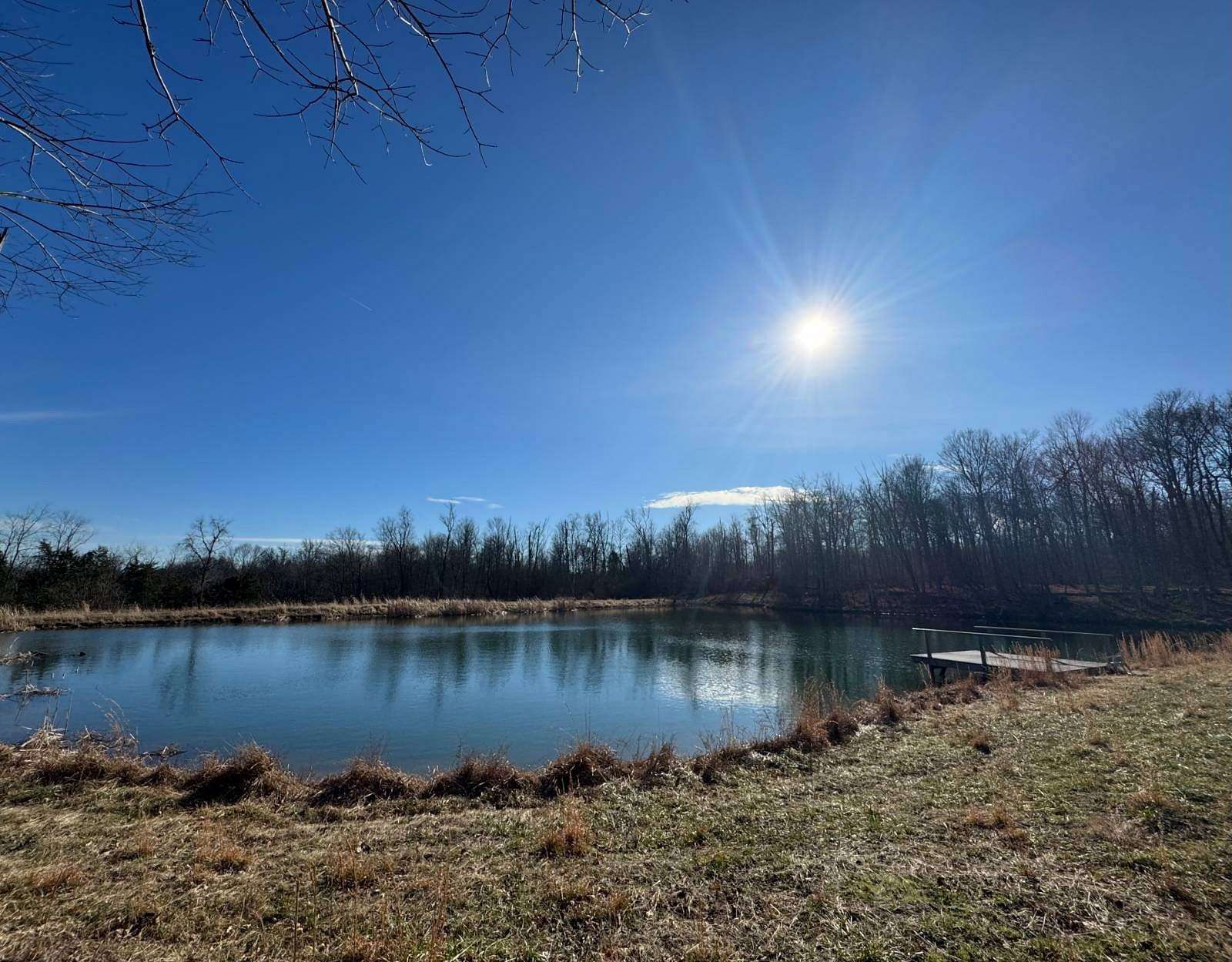 141 Acres of Land for Sale in Rising Sun, Indiana
