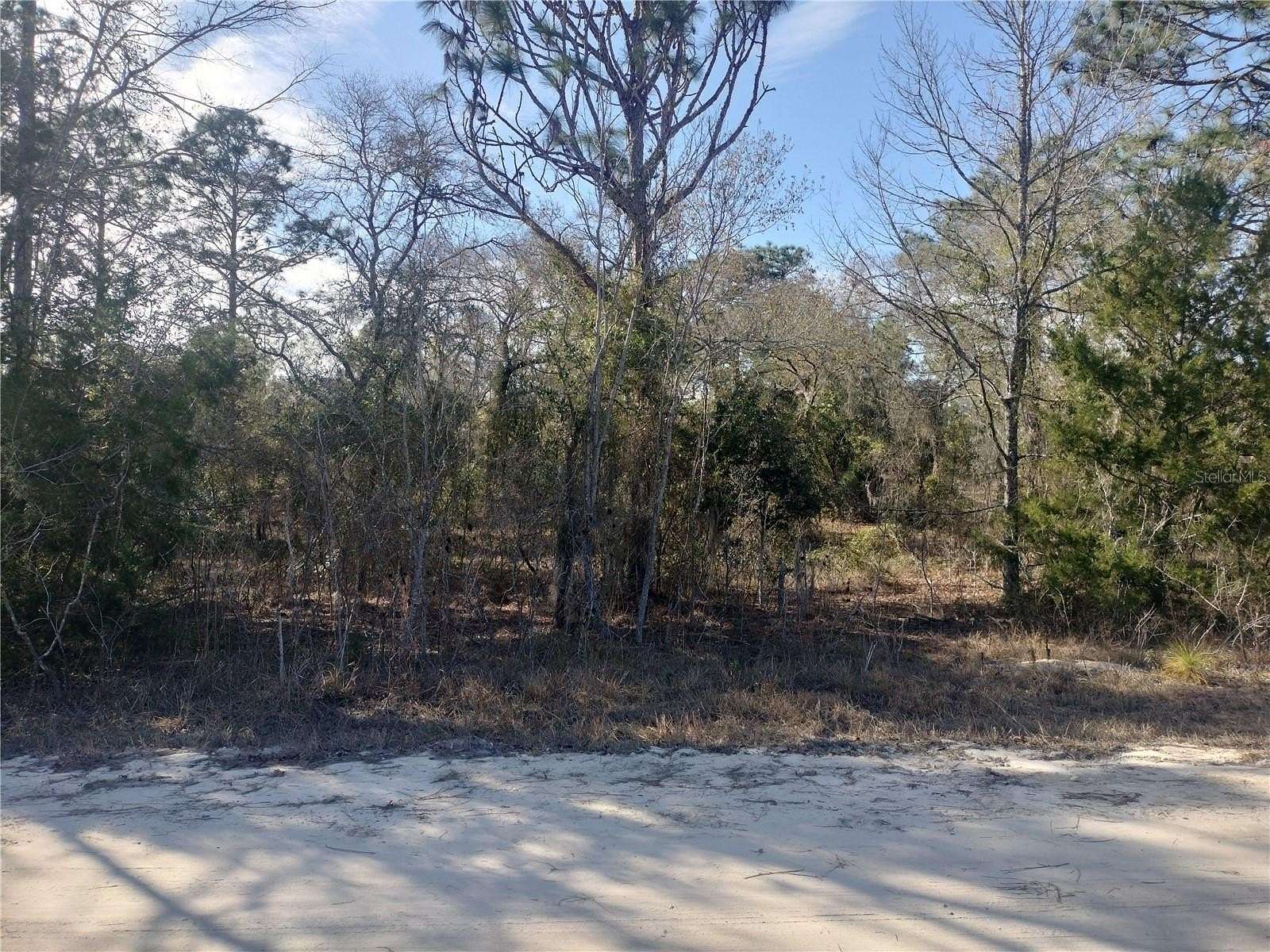 1.25 Acres of Residential Land for Sale in Morriston, Florida