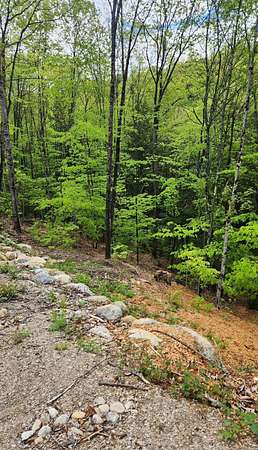 2.46 Acres of Residential Land for Sale in Freedom, New Hampshire