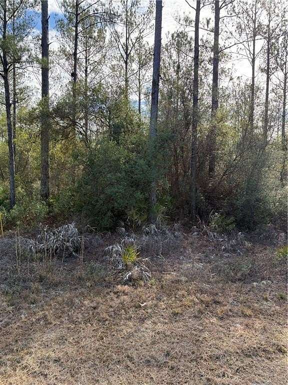 1.26 Acres of Residential Land for Sale in Hortense, Georgia