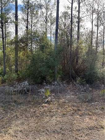 1.26 Acres of Residential Land for Sale in Hortense, Georgia