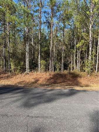 1 Acre of Residential Land for Sale in Hortense, Georgia
