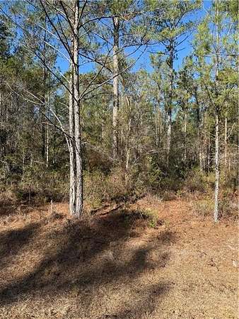 1.2 Acres of Residential Land for Sale in Hortense, Georgia