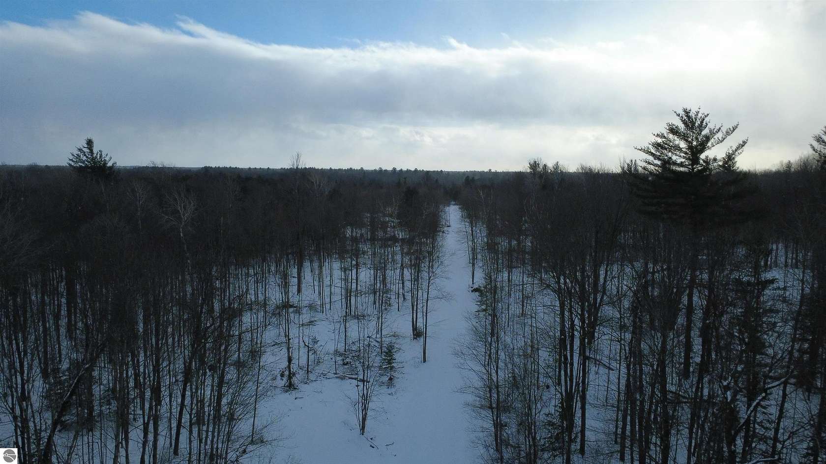 46.5 Acres of Land for Sale in Alger, Michigan