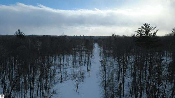 46.5 Acres of Land for Sale in Alger, Michigan