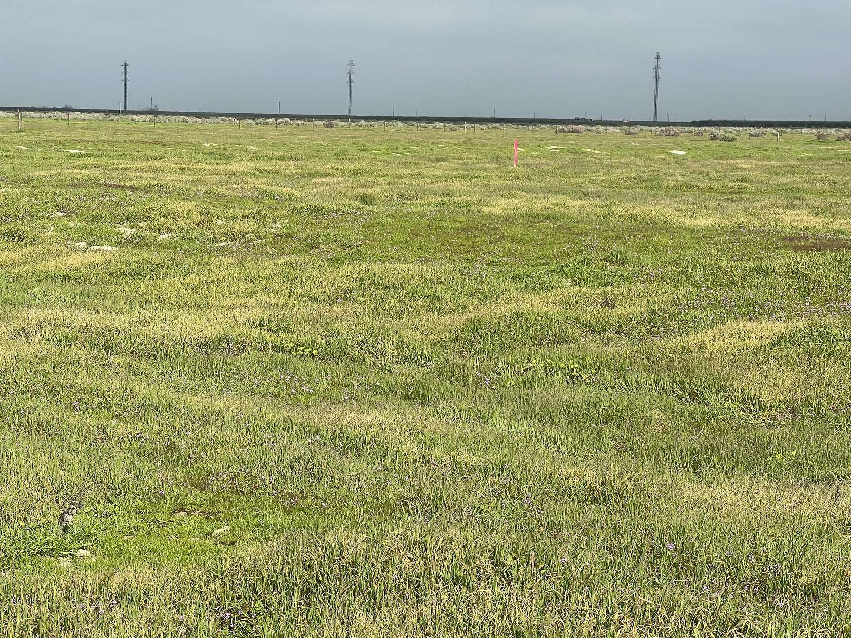 1 Acre of Residential Land for Sale in Wasco, California