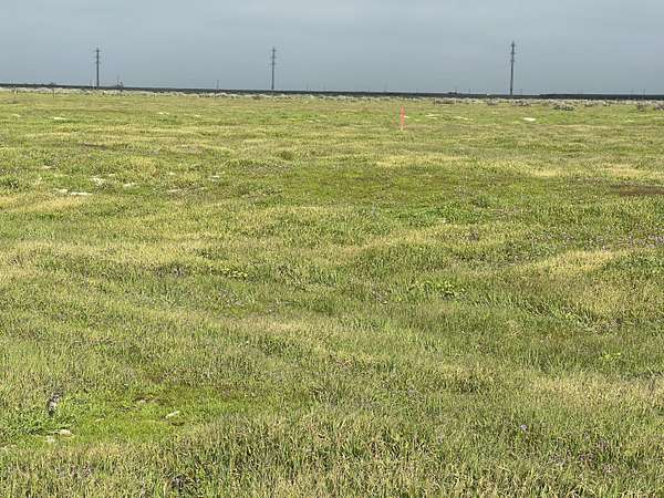 1 Acre of Residential Land for Sale in Wasco, California