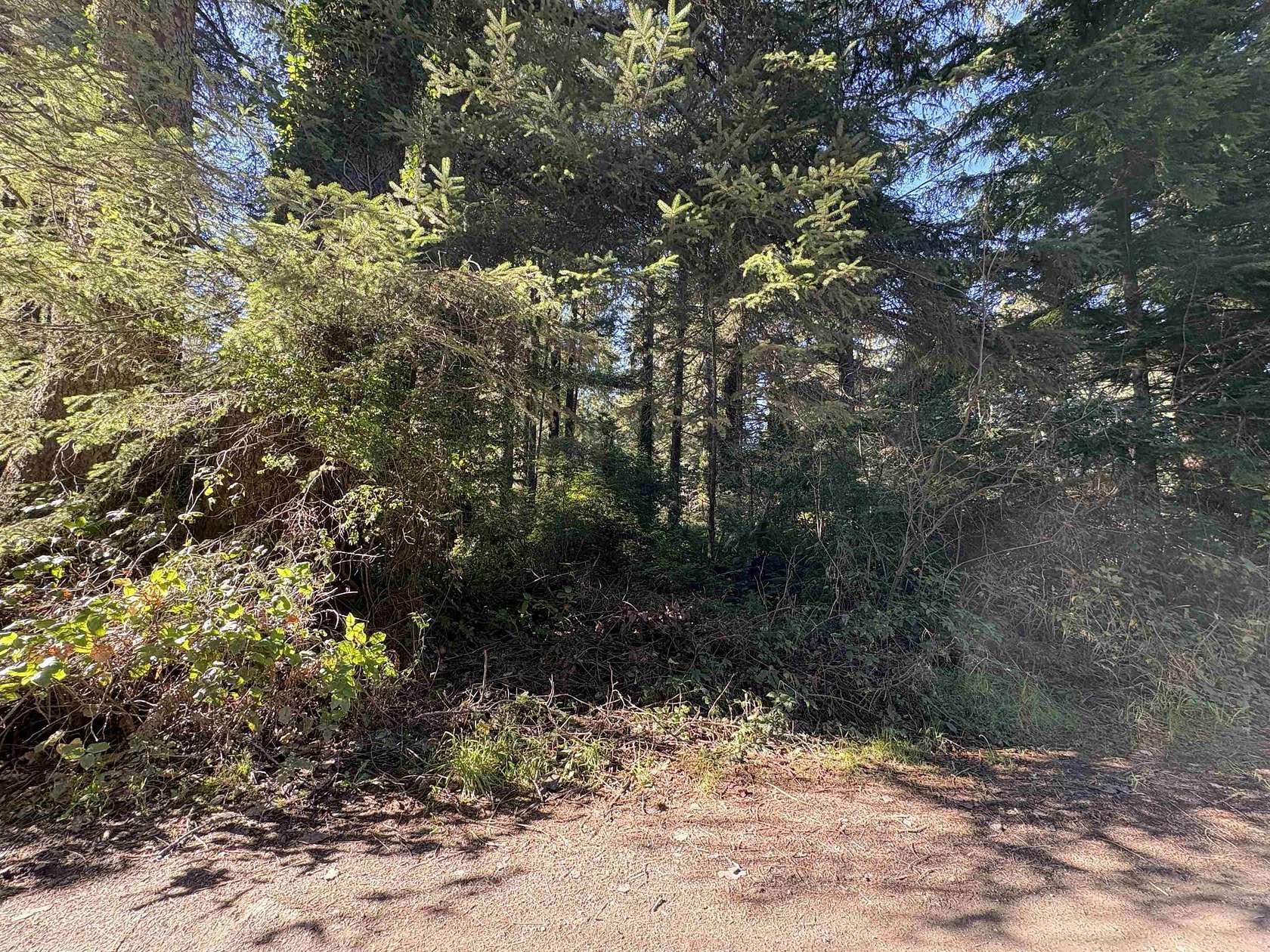 1 Acre of Residential Land for Sale in Crescent City, California