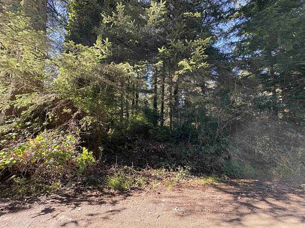1 Acre of Residential Land for Sale in Crescent City, California