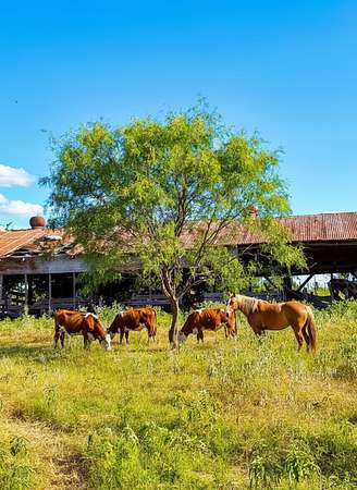 12.4 Acres of Agricultural Land for Sale in Marlin, Texas