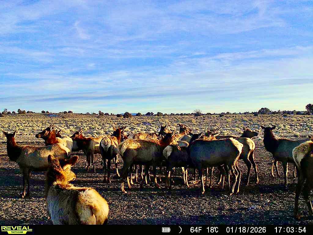 3,200 Acres of Recreational Land for Sale in Quemado, New Mexico