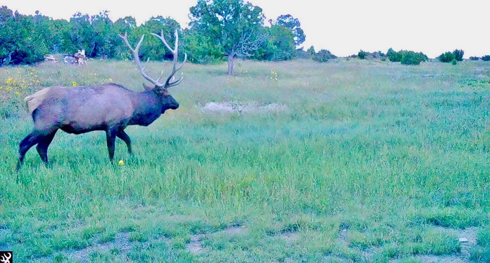 3,200 Acres of Recreational Land for Sale in Quemado, New Mexico