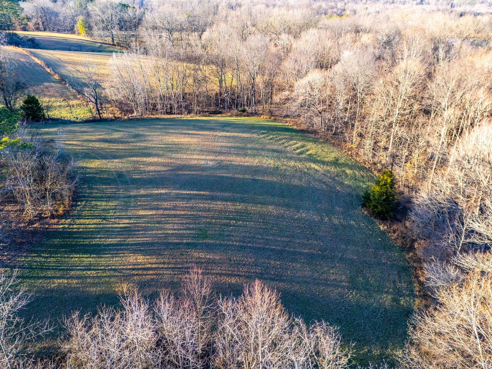 27 Acres of Agricultural Land for Sale in Portland, Tennessee
