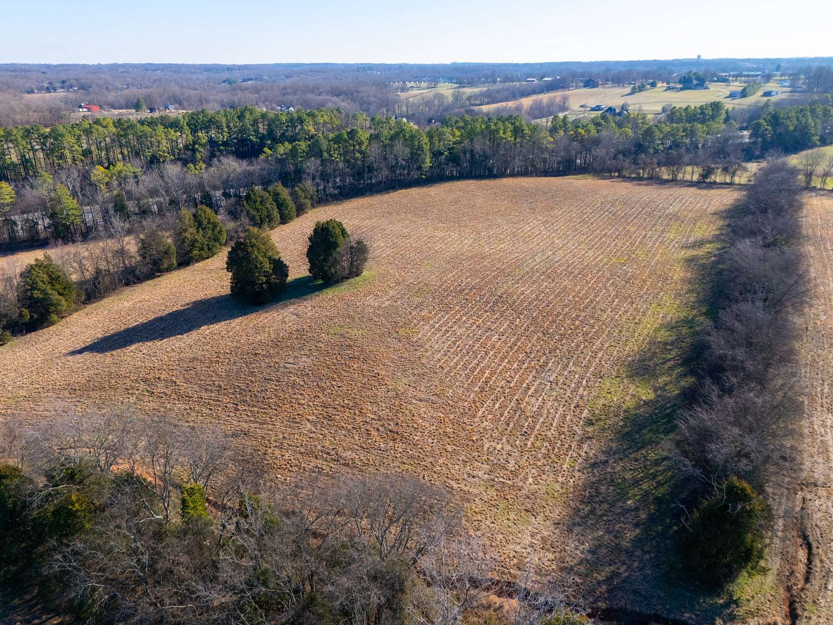 39.3 Acres of Agricultural Land for Sale in Cross Plains, Tennessee