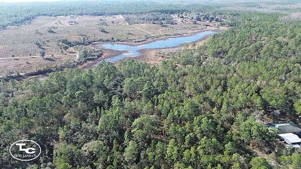 20.3 Acres of Land for Sale in Morriston, Florida