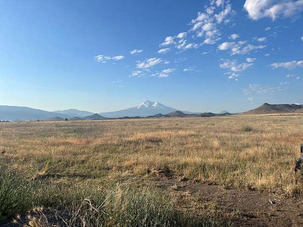 40 Acres of Agricultural Land for Sale in Montague, California