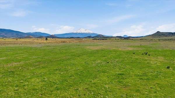 40 Acres of Agricultural Land for Sale in Montague, California