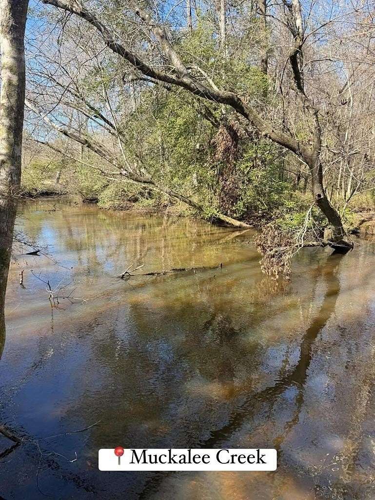 99.2 Acres of Recreational & Residential Land for Sale in Americus, Georgia