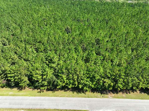 3 Acres of Recreational Land for Sale in Woodbine, Georgia