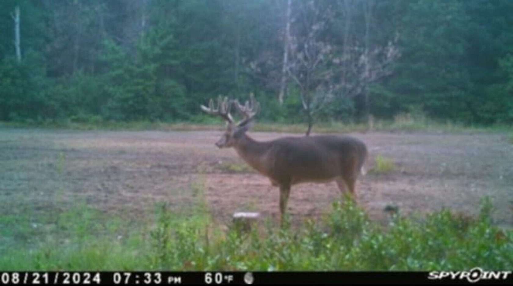 30 Acres of Recreational Land for Sale in Knox, Indiana