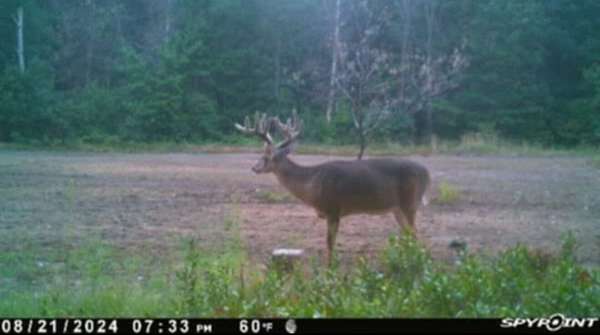 30 Acres of Recreational Land for Sale in Knox, Indiana