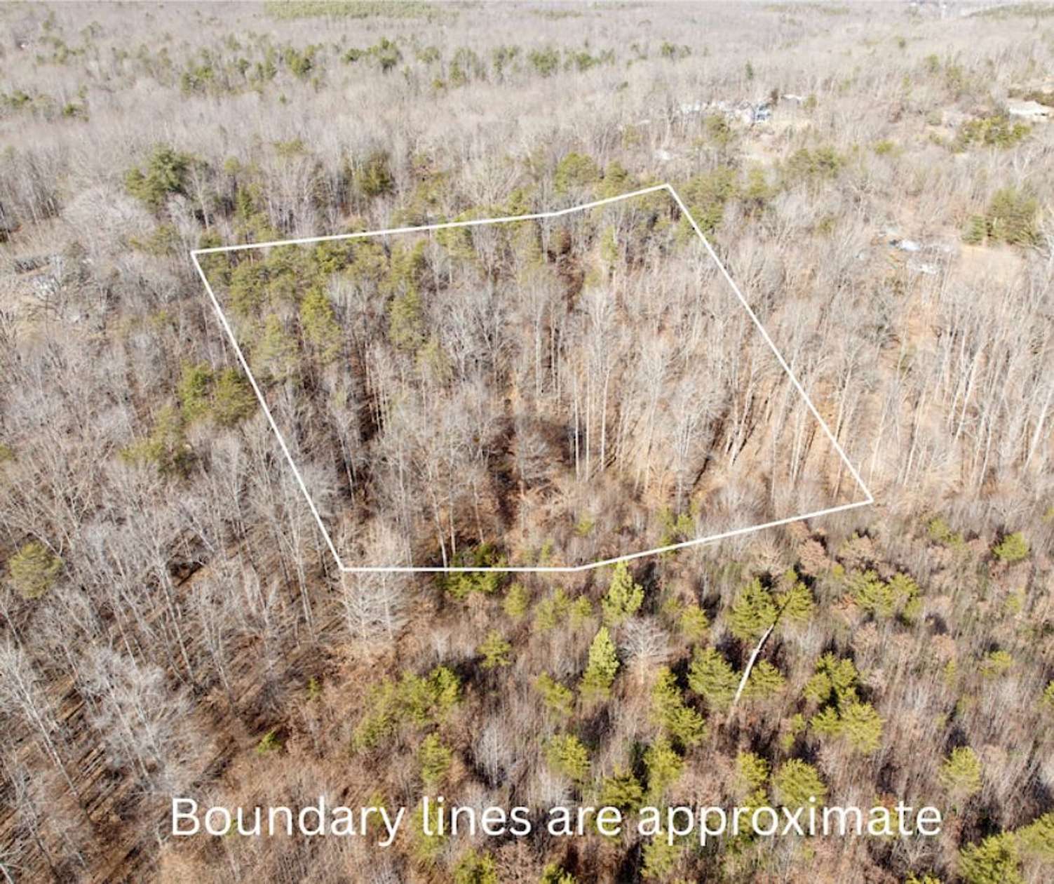 4.75 Acres of Recreational Land for Sale in Schuyler, Virginia