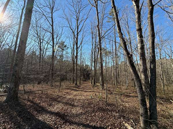 50 Acres of Recreational Land & Farm for Sale in Phil Campbell, Alabama
