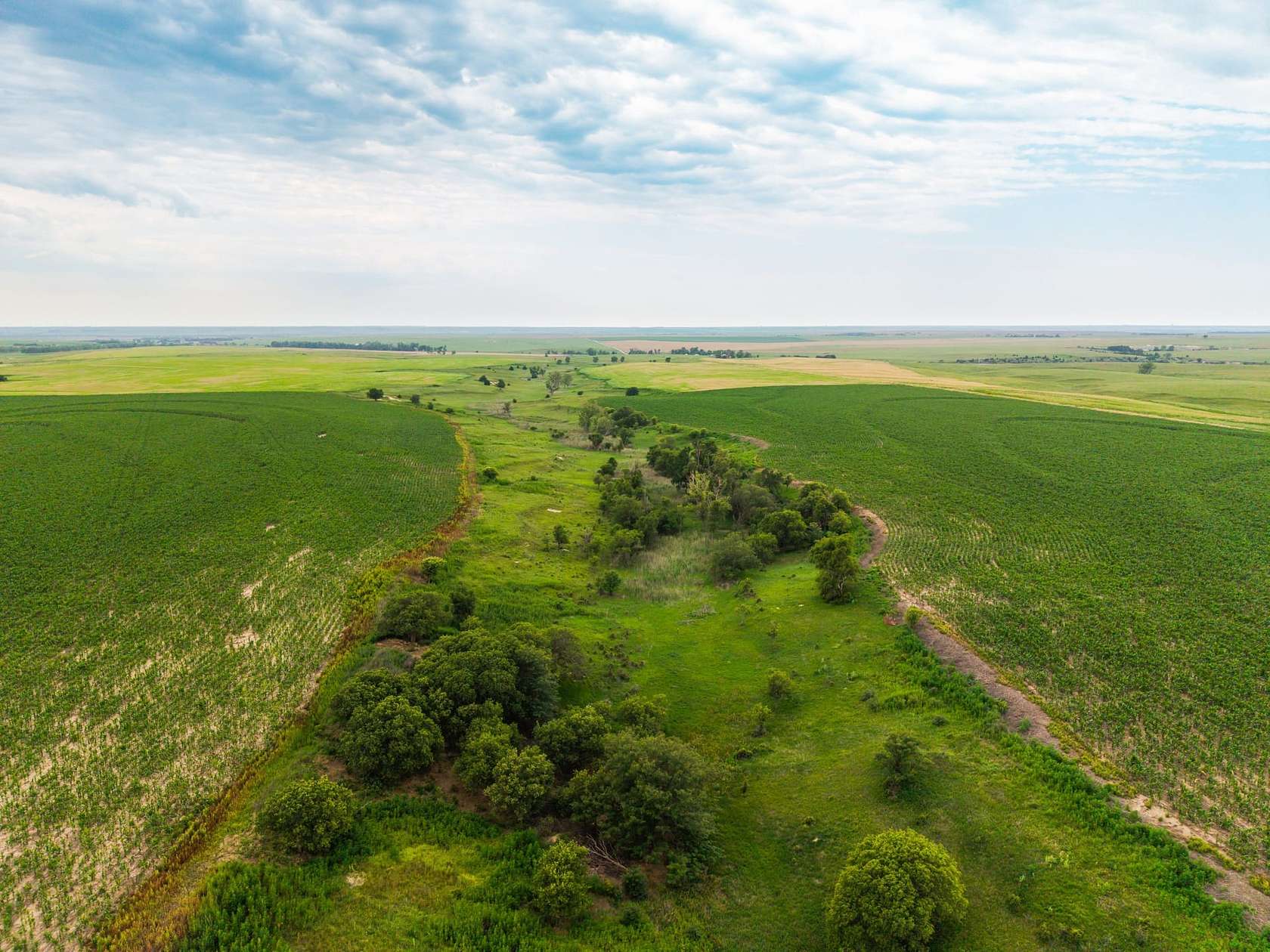 318 Acres of Land for Sale in Palco, Kansas