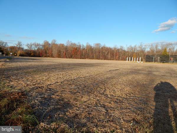 98.3 Acres of Land for Sale in Townsend, Delaware