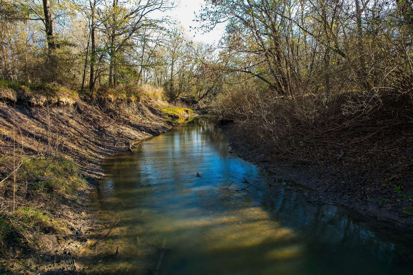 212 Acres of Recreational Land & Farm for Sale in Emory, Texas