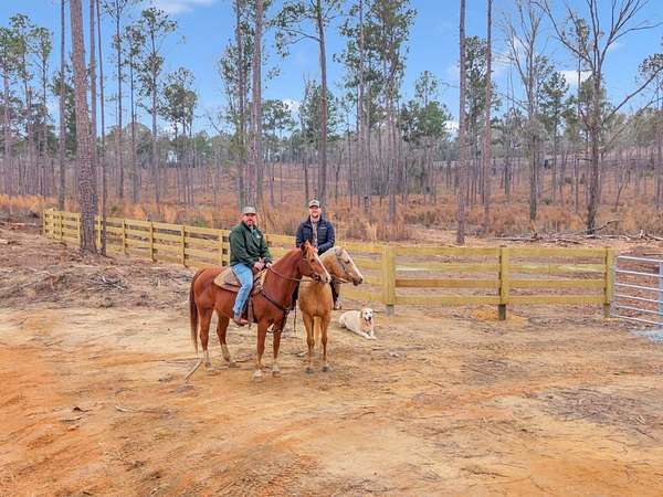 81.5 Acres of Recreational Land & Farm for Sale in Reynolds, Georgia