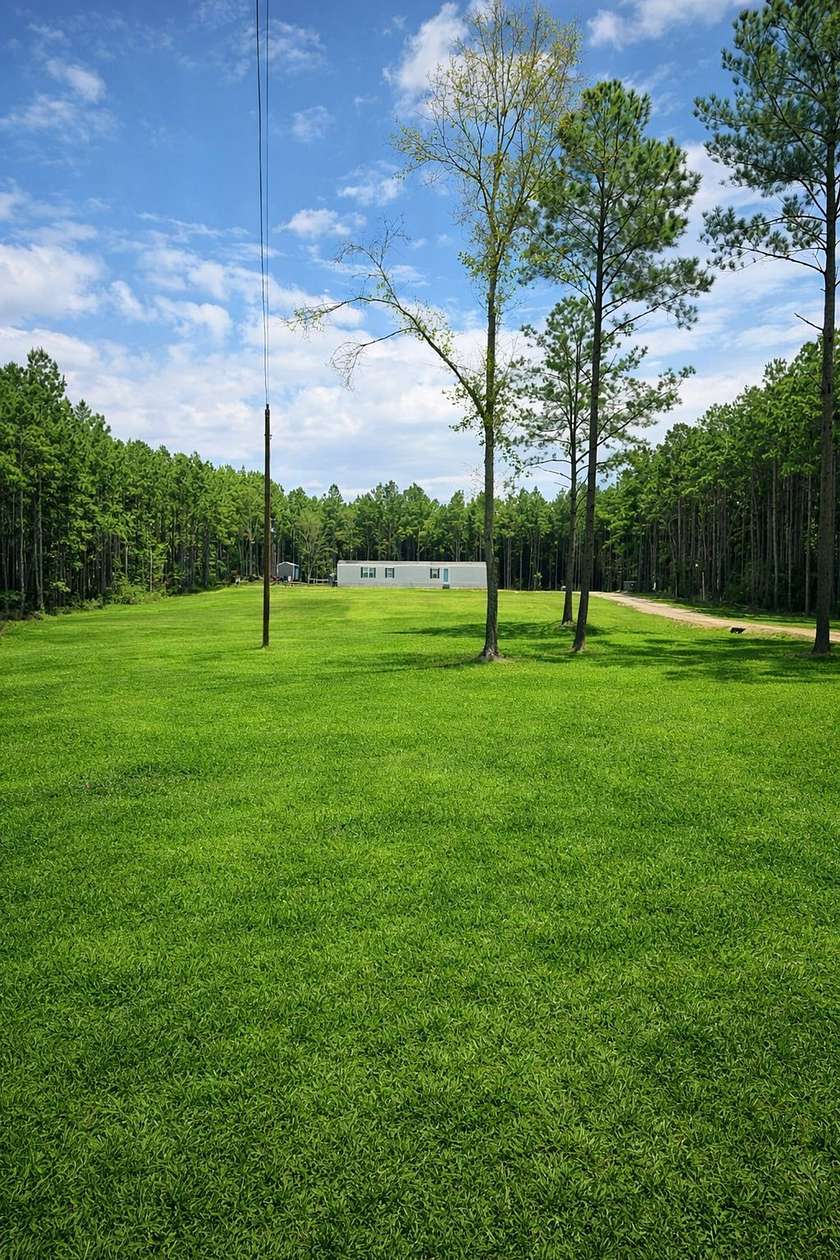 10 Acres of Improved Recreational Land for Sale in Wesson, Mississippi