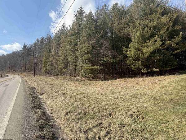 24.7 Acres of Recreational Land for Sale in Mill Creek, West Virginia